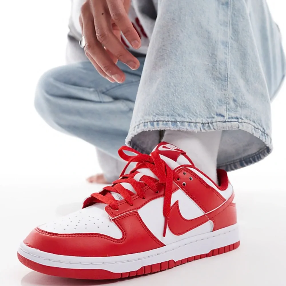 NWT-Nike Dunk Low Retro-With Box